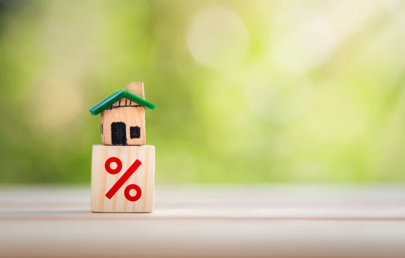 Model of interest rate